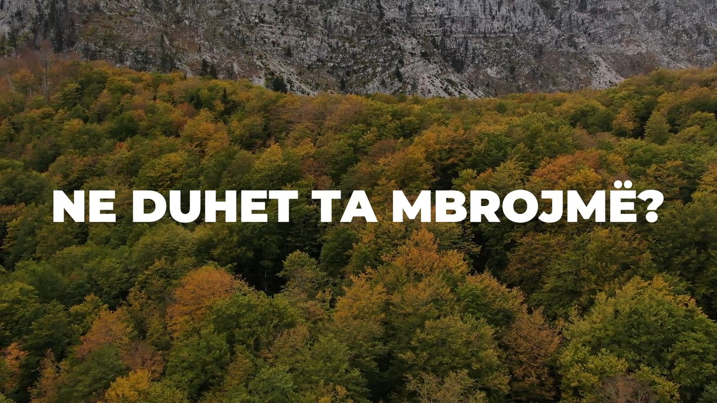 𝗩𝗲𝗽𝗿𝗼 @𝗠𝗷𝗲𝗱𝗶𝘀𝗶𝗻 🌱

Jemi angazhuar për të rritur informimin dhe kapacitetet reaguese të aktorëve të shoqërisë civile, qytetarëve, të rinjve dhe grupeve të interesit përballë rasteve kur cenohet pasuria e përbashkët, mjedisi. 

Centre for Legal Empowerment prej vitesh është kthyer në mbështetëse të kauzave që lidhen më spektrin mjedisor duke kontribuar në vendosjen e standardeve dhe praktikave të suksesshme në adresimin në rrugë ligjore të problematikave mjedisore. 

Kjo qasje strategjike e #CLE është mbështetur në tre shtylla kryesore:

➡️Aksesi në informacionin mjedisor
➡️Aksesi në vendimmarrje
➡️Aksesi në drejtësi

Për të mësuar më shumë rreth praktikave të ndërtuara nga Centre for Legal Empowrment mbi rastet mjedisore të adresuara nga avokatët tanë. 
Centre for Legal Empowerment – Fuqizojmë të drejtat ligjore

#CLE #CentreForLegalEmpowerment #vepropërmjedisin 

🌿 Vepro@Mjedisi është një projekt i implementuar nga #CLE në kuadër të Tirana European Youth Capital me mbështetje të Kongresi Rinor Kombëtar dhe Bashkia Tiranë.